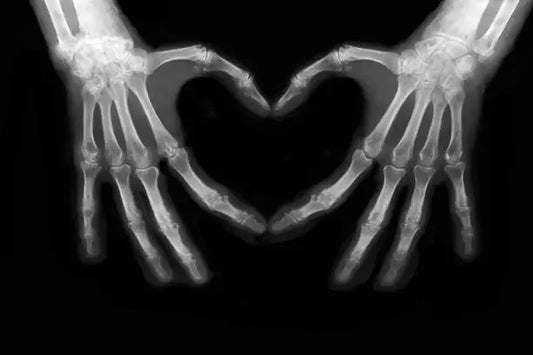 Bone Homeostasis