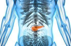 Pancreas