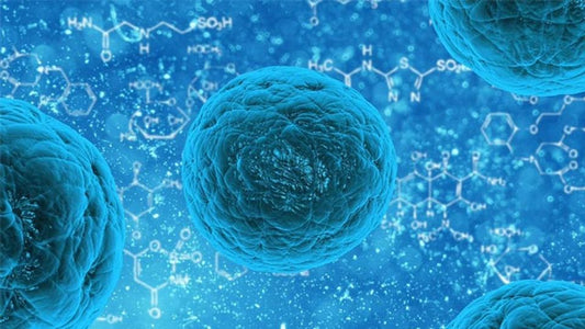 Receptors Condensed-Neuro