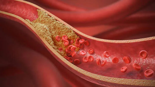 Reverse Cholesterol Transport Process