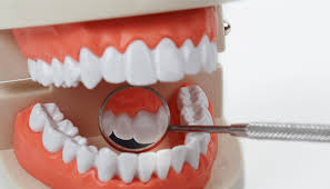 Teeth
