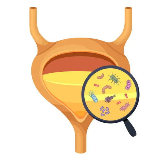Urinary Pathogens