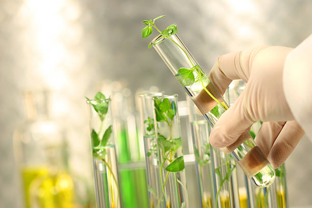 Environmental Chemicals II