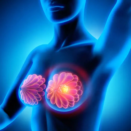 Female Breast Homeostasis