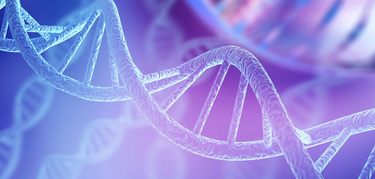 Gene Transcriptions