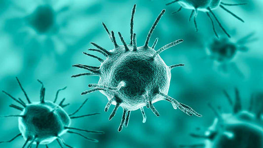 Parasites I