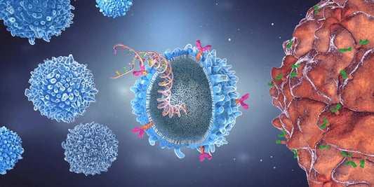 Receptors E