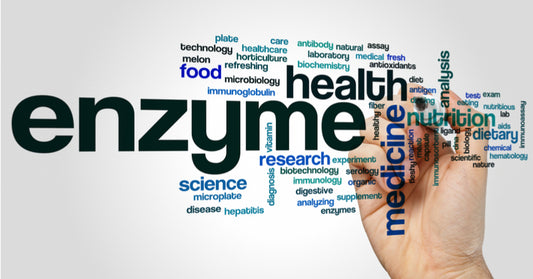 Systemic Enzymes