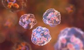 Virulence Factors