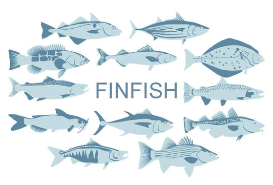 Finfish