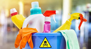 Household Toxins