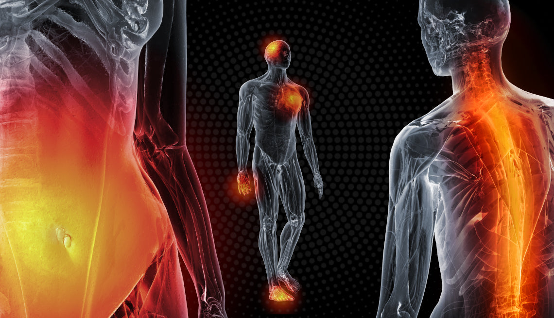 Inflammation Response